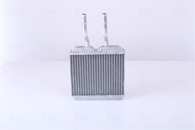 Siltummainis, Salona apsilde NISSENS 72634