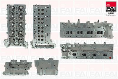 Головка цилиндра FAI AutoParts BCH075