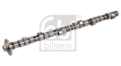 Sadales vārpsta FEBI BILSTEIN 03123