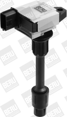 Aizdedzes spole BorgWarner (BERU) ZSE076