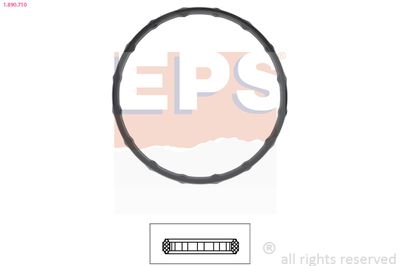Прокладка, термостат EPS 1.890.710