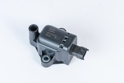 Aizdedzes spole BorgWarner (BERU) ZS590