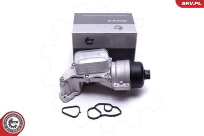 Korpuss, Eļļas filtrs ESEN SKV 31SKV233