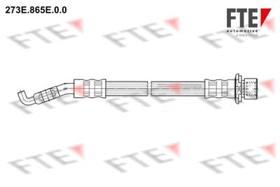 Тормозной шланг FTE 9240435