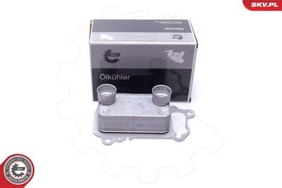 Eļļas radiators, Motoreļļa ESEN SKV 31SKV225