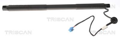 Gāzes atspere, Bagāžas/Kravas nodalījuma vāks TRISCAN 8710 23304