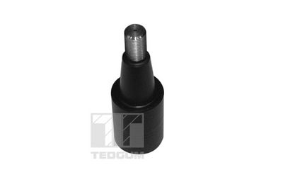 Piekare, Šķērssvira TEDGUM 00979621