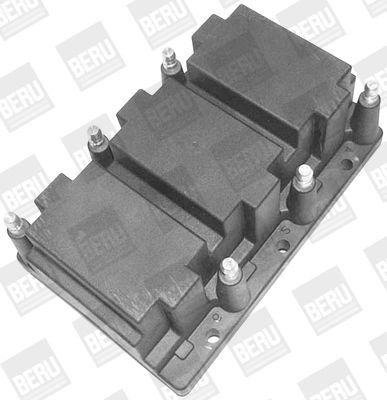 Aizdedzes spole BorgWarner (BERU) ZS416