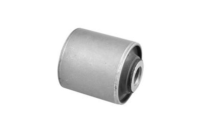 Piekare, Šķērssvira TEDGUM 00262633