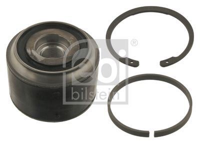 Remkomplekts, Balstiekārtas svira FEBI BILSTEIN 31311
