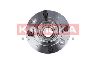 Комплект подшипника ступицы колеса KAMOKA 5500039