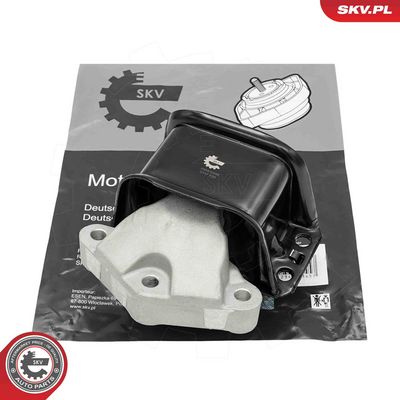 Piekare, Dzinējs ESEN SKV 75SKV248