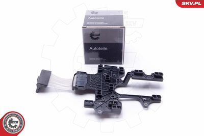 Vadības bloks, Automātiskā pārnesumkārba ESEN SKV 96SKV208