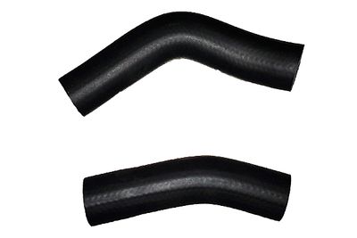 Pūtes sistēmas gaisa caurule BUGIAD 88785