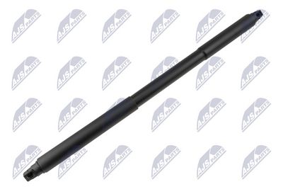 sprężyna gazowa tylnej klapy NTY AE-CH-083