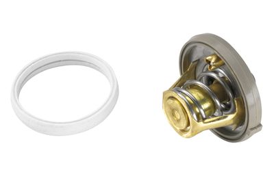 Termostats, Dzesēšanas šķidrums BorgWarner (Wahler) 410262.91D