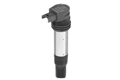 Aizdedzes spole BorgWarner (BERU) ZSE229