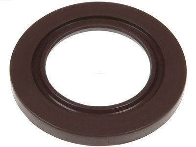 Ремкомплект, генератор AS-PL SRS6080S