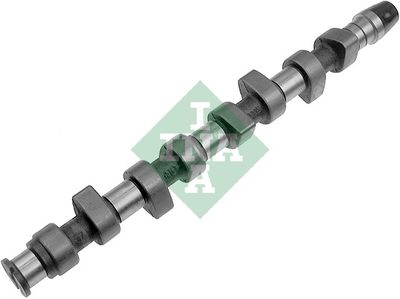 Распредвал Schaeffler INA 428 0064 10