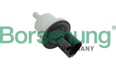 Vārsts, Aktivētās ogles filtrs BORSEHUNG B12188