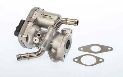 Клапан возврата ОГ BorgWarner 711023D