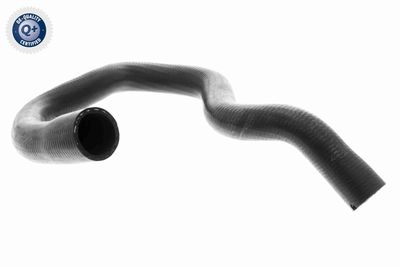 Radiatora cauruļvads VAICO V40-1779