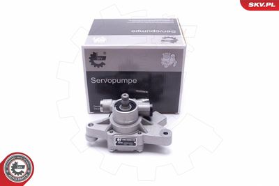 Hidrosūknis, Stūres iekārta ESEN SKV 10SKV313