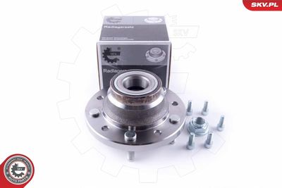 Комплект подшипника ступицы колеса ESEN SKV 29SKV304