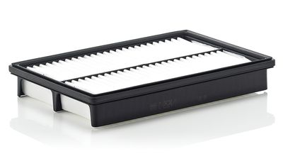 Воздушный фильтр MANN-FILTER C2524/1