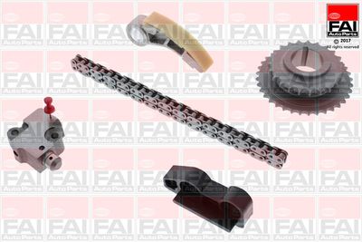 Цепь, привод маслонасоса FAI AUTOPARTS OPCK12