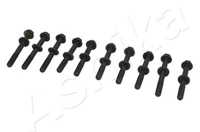 Комплект болтов головки цилидра ASHIKA 115-08-800