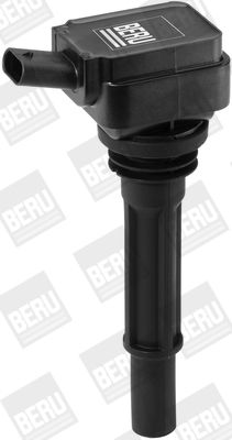 Aizdedzes spole BorgWarner (BERU) ZS537