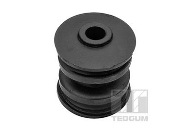 Piekare, Šķērssvira TEDGUM 00462367