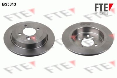 Тормозной диск FTE 9072093