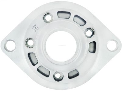 Крышка стартера, карбюратор AS-PL SBR9036S