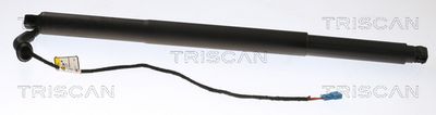 Gāzes atspere, Bagāžas/Kravas nodalījuma vāks TRISCAN 8710 11312