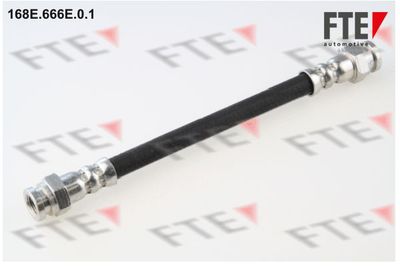 Тормозной шланг FTE 9240886