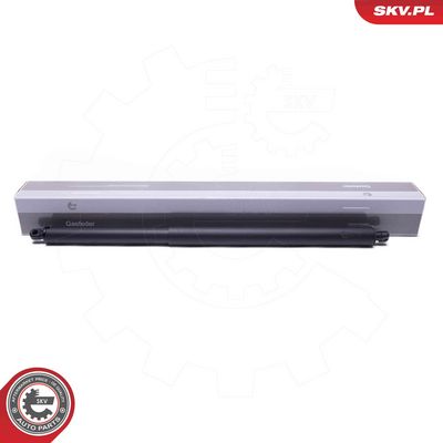 Электромотор, задняя дверь ESEN SKV 52SKV952