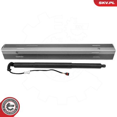 Электромотор, задняя дверь ESEN SKV 52SKV221