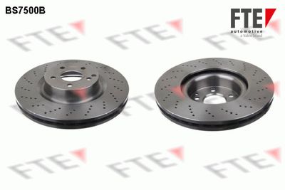 Тормозной диск FTE 9081161