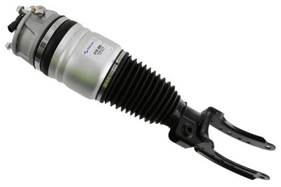 Опора пневматической рессоры SACHS 319 402