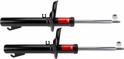 Amortizators TRW JGM245T