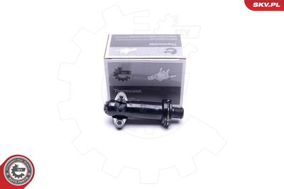 Termostats, Dzesēšanas šķidrums ESEN SKV 20SKV143