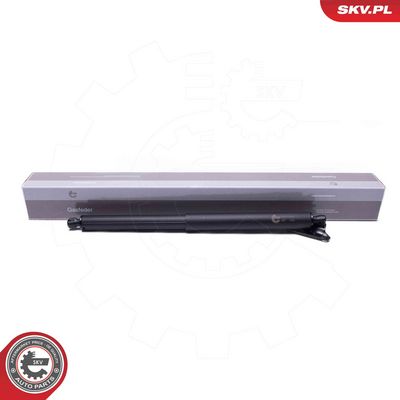 Электромотор, задняя дверь ESEN SKV 52SKV963