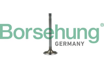 Впускной клапан BORSEHUNG B19022