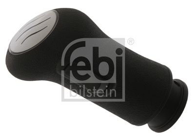 Pārslēdzējsviras rokturis FEBI BILSTEIN 43655