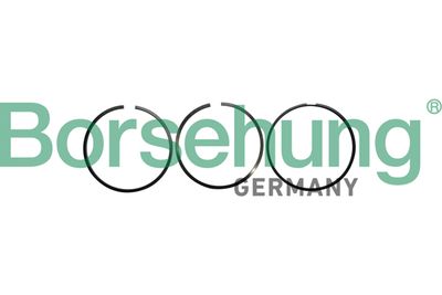 Комплект поршневых колец BORSEHUNG B10362