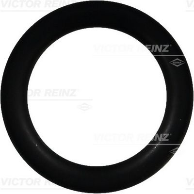 Blīvgredzens VICTOR REINZ 40-76391-00