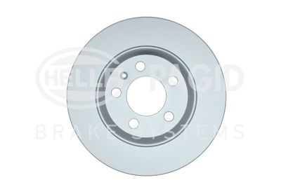 Bremžu diski HELLA PAGID 8DD 355 132-701