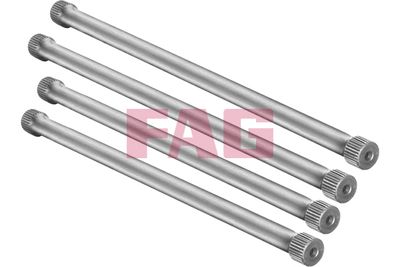 Balstiekārtas komplekts, atsperes Schaeffler FAG 813 0001 30